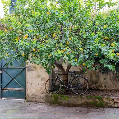 Bed & Breakfast Via Corsica 10 Pisa